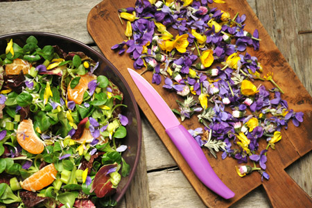 read more: Incredible Edible Flowers