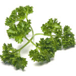 Jigsaw Puzzle #81