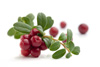 Eat a Cranberry Day
