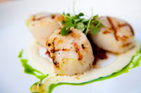 On The Grill - Scallops Recipes On The Grill - Scallops Recipes