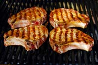 Recipes for On The Grill - Pork