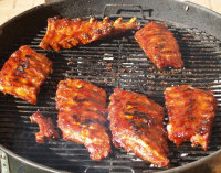 Recipes for On The Grill - Ribs