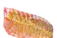 Rib Rub Recipes