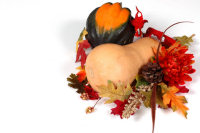 Recipes for Thanksgiving Squash