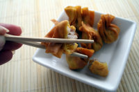 Wonton Recipes Wonton Recipes