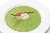 Cream of Spinach Soup Recipes