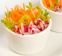 Carrot Salad Recipes Carrot Salad Recipes