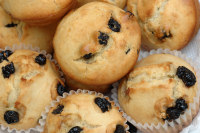 Blueberry Muffin Recipes Blueberry Muffin Recipes