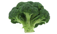 Broccoli Recipes