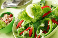 Vegetable Salad Recipes Vegetable Salad Recipes