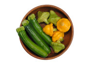 Squash Recipes
