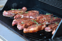 Recipes for On The Grill - Meat and Game