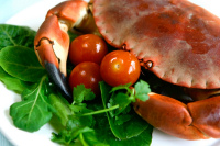 Crab Recipes
