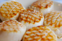 Scallops Recipes