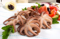Octopus Recipes
