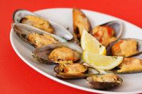 Mussels Recipes