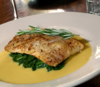 Tilapia Recipes
