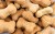 Recipes For Homemade Dog Food and Treats