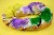 Recipes For King Cake