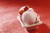 Recipes For Strawberry Ice Cream