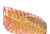 Recipes For Rib Rub