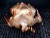 Recipes For Barbecued Turkey