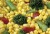 Recipes For Broccoli & Corn Casserole