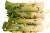Recipes For Leek