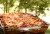 Recipes For Ground Beef Hot Dish