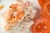 Recipes For Crawfish Dip