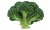 Recipes For Broccoli