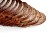 Recipes For Wheat Bread