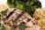 Recipes For Snapper