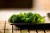 Recipes For Low Carb Side Dish