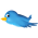 follow us on twitter