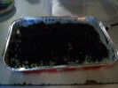 Oreo Cookie Filled Cake