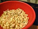 Recipe for White Chicken Chili