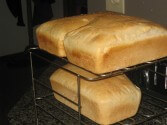 Salt Rising Bread Recipe