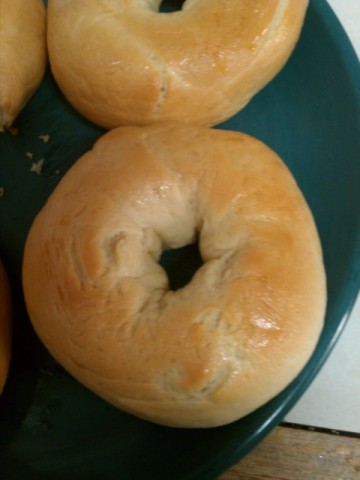 Basic Bagel Recipe