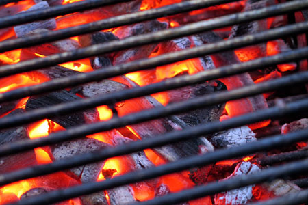 read more: Going Off The Grid