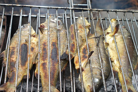 read more: Casting About For Dinner