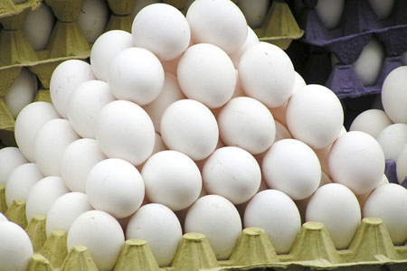 read more: Eggspert Advice, Part II