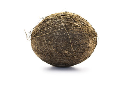 read more: New Food of the Month: Coconut Milk