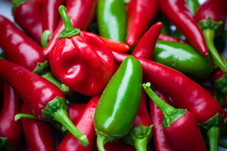 read more: A Passion For Peppers