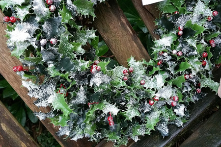 read more: Boughs of Holly