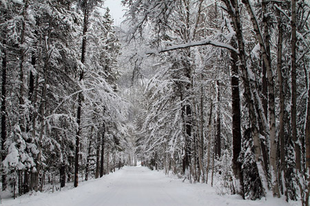 read more: A Globally Warmed Winter Menu