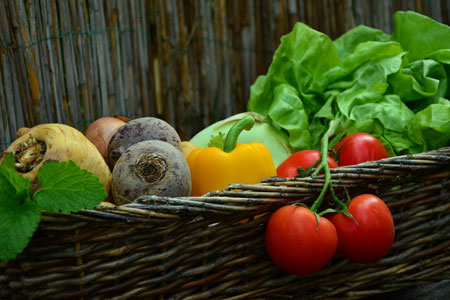 read more: Preserving Summer's Bounty