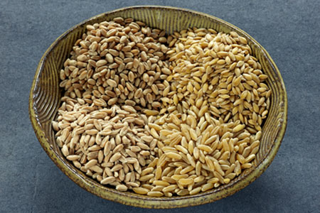 read more: Discovering Kamut