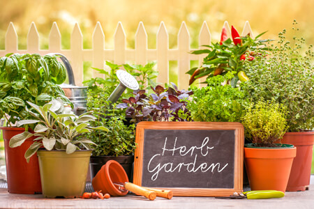 read more: An Herbaceous Garden