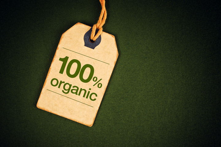 Making Cents of the Organic Food Debate